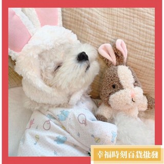 【本土出貨】Ins爆款韓國兔子鬆鼠安睡陪伴可愛寵物玩具外貿原單 寵物發聲玩具 DVQZ