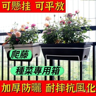 免運 花盆槽 種植箱 花盆塑膠陽臺種菜盆箱種菜神器傢用北歐簡約長方形掛式長條花盆槽 長方形 花盆 組閤式植盆