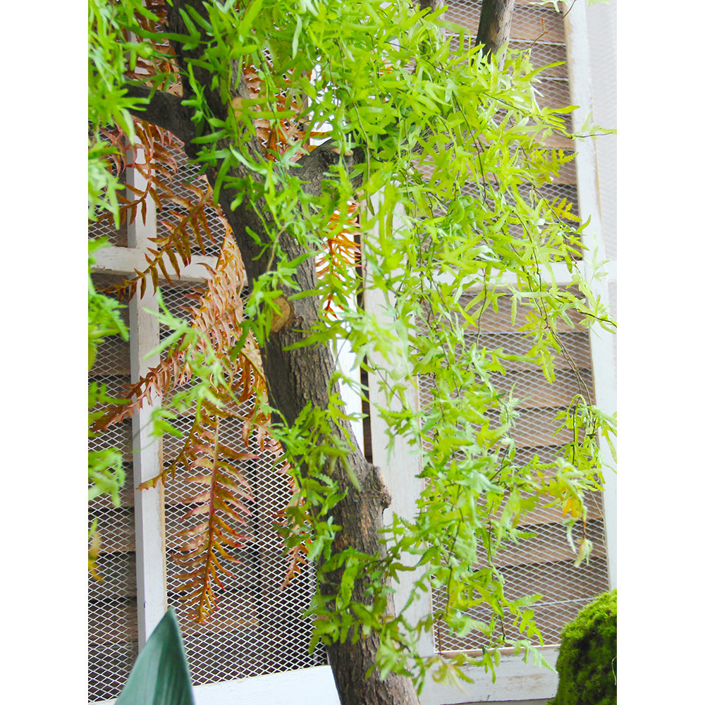 ▼JVW仿真小綠葉鳳尾蕨葉綠植藤條蔓可隨意造型森系纏繞藤絲壁掛布造景