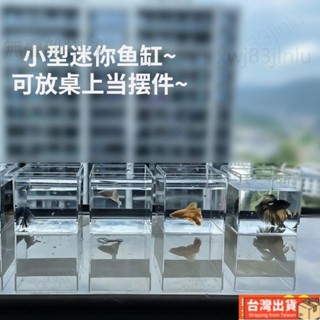 台灣出貨🚚小型迷你魚缸 家用鬥魚槓正方形塑膠透明生態桌面小型鬥魚盒烏龜昆蟲盒 桌面擺件魚缸