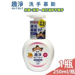 日本獅王 趣淨抗菌洗手慕斯 柑橘香 柑橘【未來藥局】