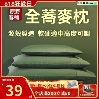 枕頭 飯店枕 羽絲絨枕 防蟎抗菌枕 枕頭 枕心 日本大和認證 冰絲枕 嚴選好眠商品 蕎麥枕頭枕芯成人單人學生兒童頸椎枕蕎