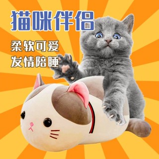 新北免運公貓性發洩毛絨貓發情期貓性陪睡貓伴侶踩踏玩具貓咪母貓寵物用品