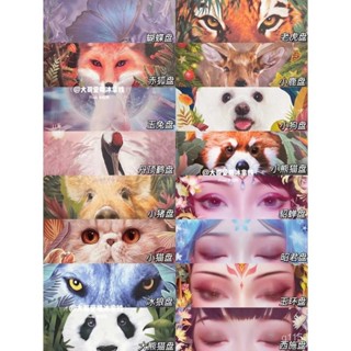 初見時尚精品🔥全係列 正品帶防偽 完美日記 新品花兔盤 野豹盤 赤狐盤 蝴蝶盤 兔年花兔眼影盤 動物眼影盤十二色