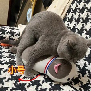 玩具貓咪發情 發洩模擬公仔 抑情寵物用品神器 公貓交配玩具髮洩瀉火性 貓咪伴侶髮情期用品 陪睡寵物神器母貓解悶