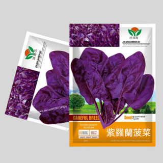 紫羅蘭菠菜🔥A170 紫羅蘭 菠菜種子 紫色蔬菜種子 四季播種蔬菜籽 一包約5g 原廠包裝 對版出貨 發芽率高95%