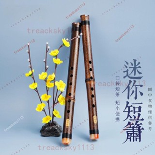 🔥嚴選新品🔥限時特惠 初學入門紫竹短簫6孔E調蕭樂器洞簫迷你瀟學生便攜古風 樂器 簫 短簫 笛
