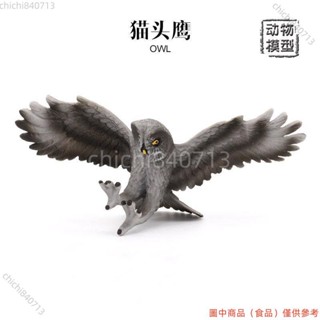 ✨臺灣廠商下殺✨模擬鳥類模型鷹擺件貓頭鷹野生動物火烈鳥巨嘴鳥兒童認知玩具lldd818