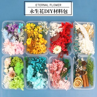 臺灣熱賣 乾花diy材料永生花永久模擬花瓣裝飾幼兒園兒童創意手工植物標本