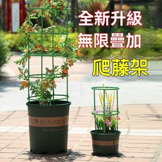 🐰臺灣熱銷🐰無限疊加爬藤架 植物支撐 植物支撐桿 盆栽支撐架 盆栽支架 爬藤支架 花盆支架 蘭花支架 園藝支架花架子 E
