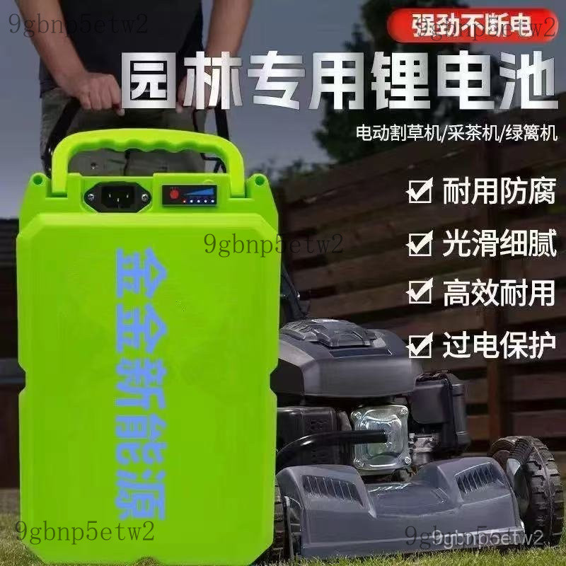 【台灣出貨】【高效耐用】48V電動車 鋰電池可充電 鋰電池24v 48v電瓶 電動車48v鋰電 48v 割草機電動車通用