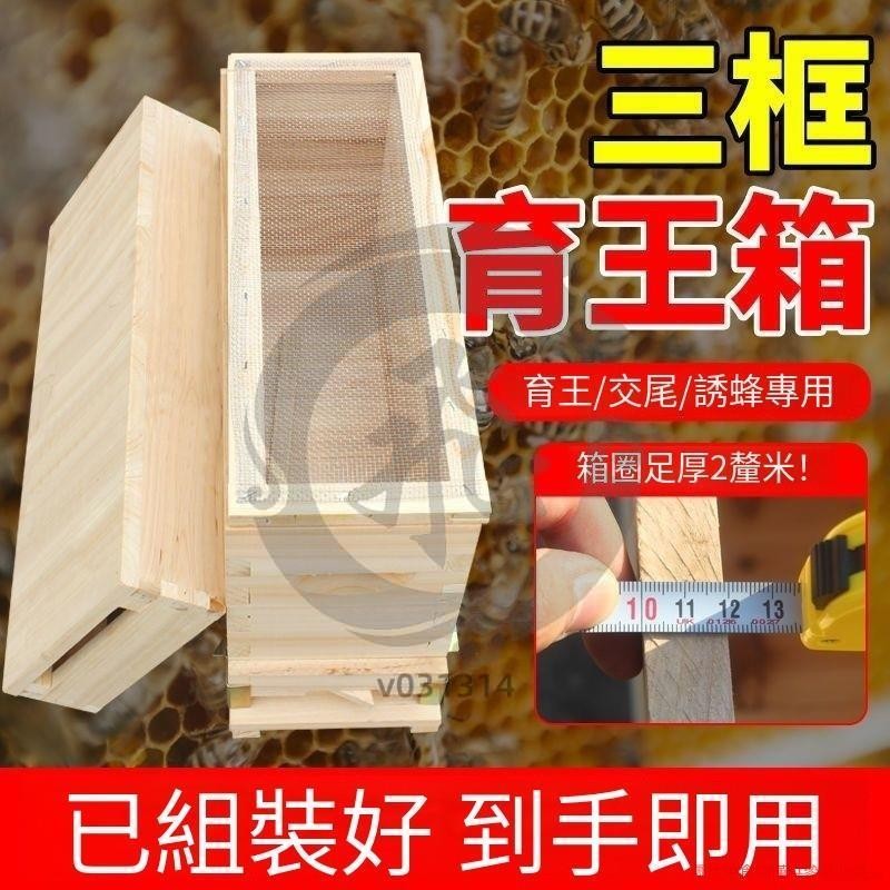 蜜蜂育王箱 蜂王交尾箱 杉木三框蜂箱育王分蜂專用小型交尾蜜蜂箱 蜂箱 育王分蜂專用 交尾蜜蜂箱-v031314