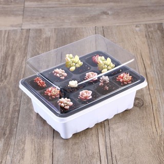 12 Cells Nursery Pot Planting Seed Tray Kit / Seed Germinati