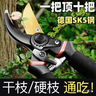 粗枝剪 SK5園藝剪 修枝剪 果樹剪 園藝剪刀 樹枝剪 強力園藝修枝剪 花枝剪 修樹枝剪刀 樹枝剪刀 剪枝剪 LXGL