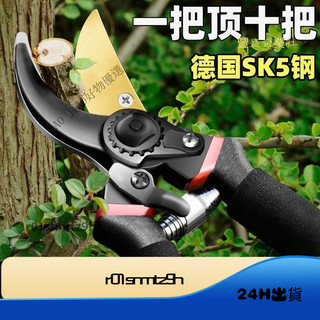 粗枝剪 SK5園藝剪 修枝剪 果樹剪 園藝剪刀 樹枝剪 強力園藝修枝剪 花枝剪 修樹枝剪刀 樹枝剪刀 剪枝剪 HA7I