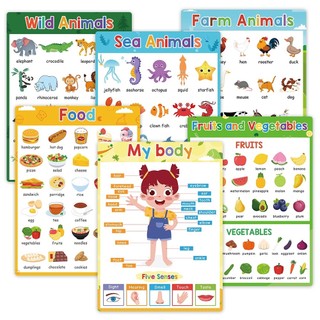 6Pcs chart for Preschool kid educational set Fruits Food Bod