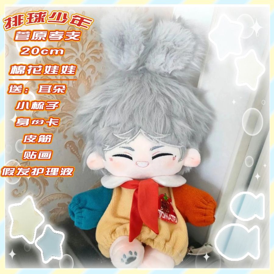 💕臺灣出貨 排球少年小公仔 20cm棉花娃娃有屬性排球少年菅原孝支動漫角色週邊玩偶公仔送