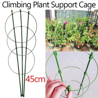 Climbing Plant Support Cage Garden Trellis Flowers Stand Rin
