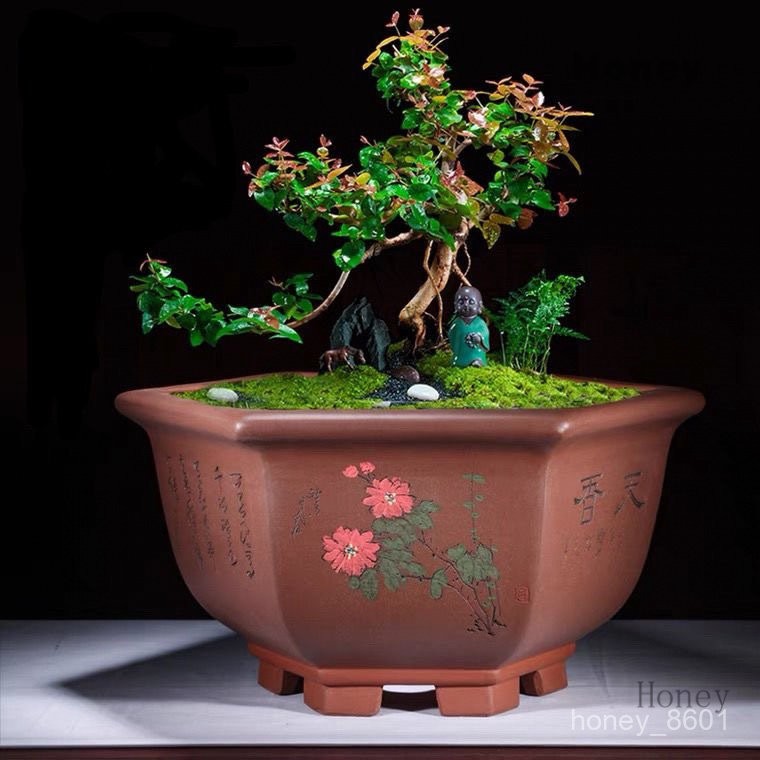 紫砂鉢 陶磁盆 景盆 長方形奎面馬槽盆大盆栽 小盆栽 工芸品 置物