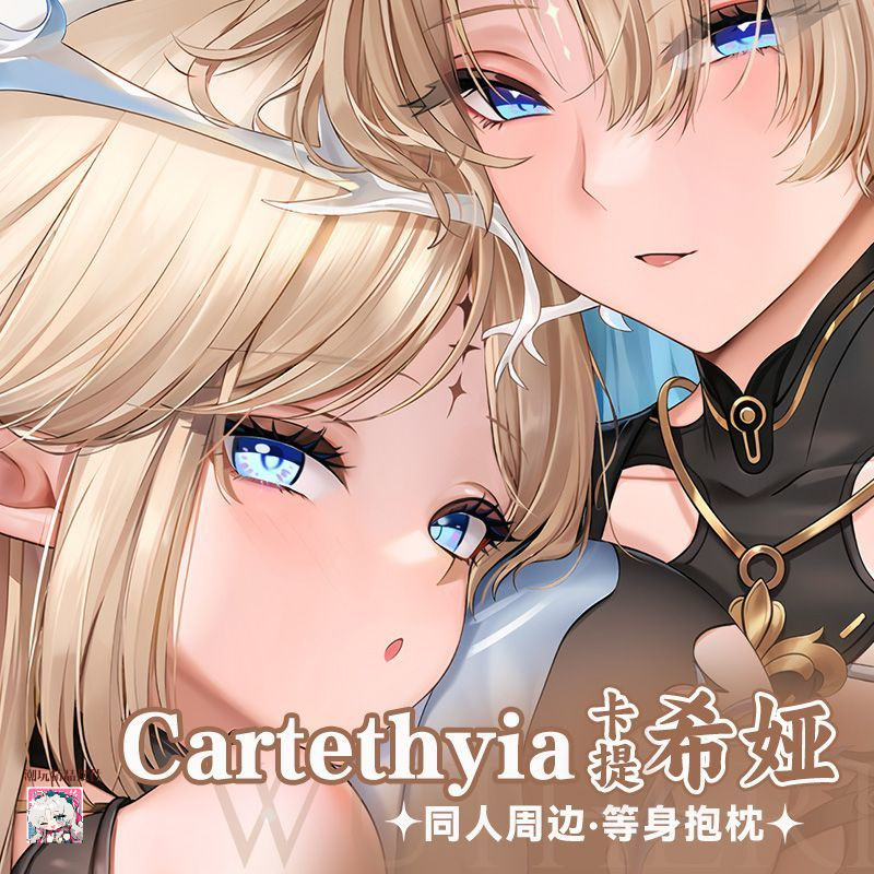 【現🧡貨】【潮玩精品2】鳴潮-卡提希婭遊戲動漫二次元等身抱枕週邊雙麵印花長條形抱枕套