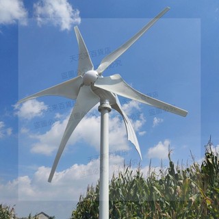 戶外 太陽能 風力發電機互補風力發電機大功率 家用 充電節能