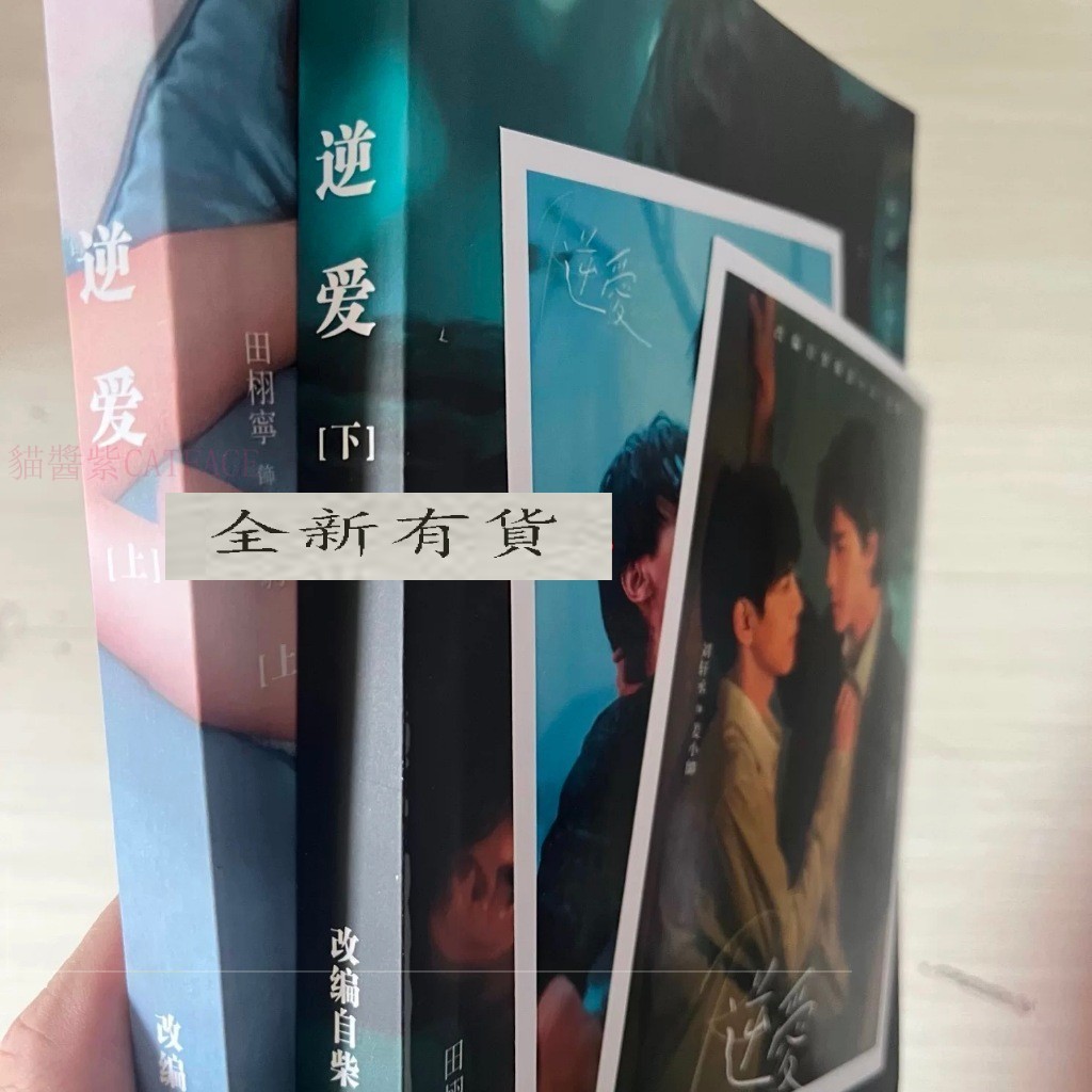 【全新出貨】繁體逆愛雙男主角小說 梓渝田芬寧 柴雞蛋原著小說《逆襲》實體書全兩冊