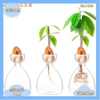 桃園出貨@酪梨種植花瓶,耐熱精美的酪梨水耕瓶,玻璃植物花瓶簡單的小的透明養殖容器園藝愛好者