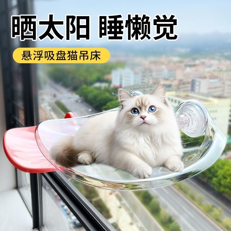🎉桃園出貨🚚貓咪懸浮吊床 貓咪跳台 太空艙貓窩 貓咪吊床 寵物睡床 貓跳台 吸盤式貓吊床 貓咪陽臺吊床 透明吊床 免打孔