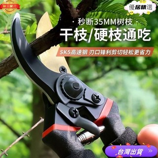 🚀台灣24H🚀SK5樹枝剪 園藝剪 花剪 園藝剪刀 修枝剪 高枝剪 粗枝剪刀 修花剪刀 果樹剪 園藝工具 花藝剪刀