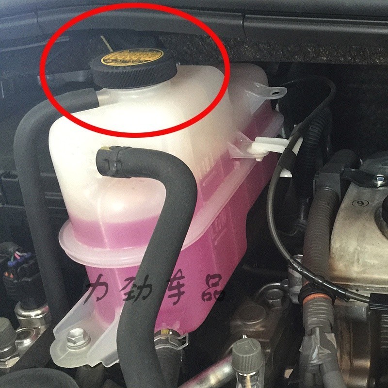 E家✌適用大霸王普瑞維亞PREVIA ACR50 GSR50原廠 副水箱蓋 冷卻液壺蓋
