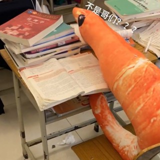 【臺灣熱賣】不是哥們蝦仁抱枕午睡枕趴睡枕女生睡覺專用沙發靠墊玩偶毛絨玩具