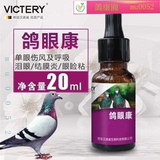 💕鴿康園 漢諾威鴿眼亮鴿眼康賽信鴿子衣原體單眼傷風單眼流淚紅腫一滴靈