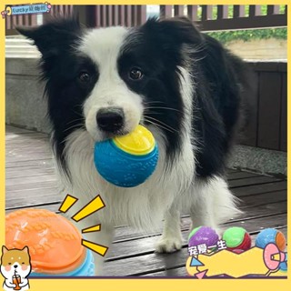 🐶寵物館🐶狗狗玩具磨牙潔齒耐咬發聲訓練球qwe