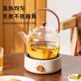 110V花茶壺電熱爐多功能電熱燒水煮茶爐迷你小型電熱爐煮茶器茶爐 BJK8