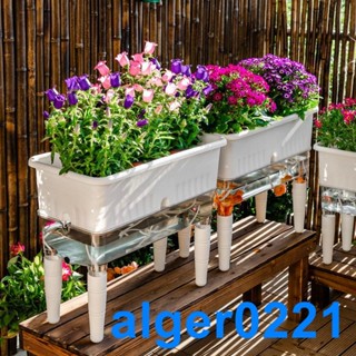 種植蔬菜塑料箱 家用 陽臺種花種菜神器室內陽臺種菜專用盆長方形自吸水懶人種花種蔬菜箱草莓特大號塑膠