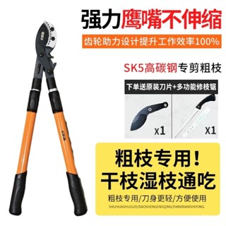 日本修枝剪園林粗枝剪園藝果樹大力剪強力花枝剪伸縮高枝專用剪刀【臺灣發貨】 VRD2