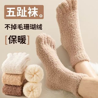 🎀爆款🎀 加厚珊瑚絨五指襪子男冬季保暖防寒居家睡眠地板毛絨分腳趾長筒襪