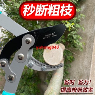 剪樹枝 專用剪刀修剪粗枝大剪刀 果樹修枝 大力剪強力剪子藝園林工具 伸縮修枝剪 樹剪 剪定鋏 修枝剪 採果#LT1215