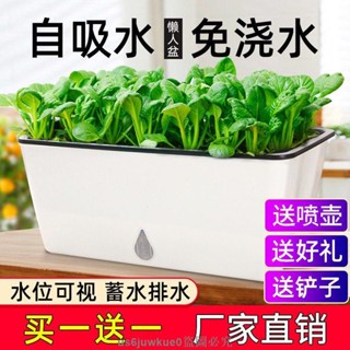超大號種菜盆 種植箱 花盆 長型花盆 長方形花盆 盆栽 懶人花盆 蓄水花盆 懶人自吸水好養活 陽臺長方形加厚塑膠大花盆