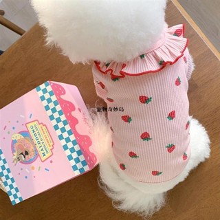 😸獨寵一身 可愛草莓印花寵物打底衫 韓國ins狗狗衣服 中小型犬 泰迪 博美 春秋寵物衣服 小清新貓咪衣服 貓衣服