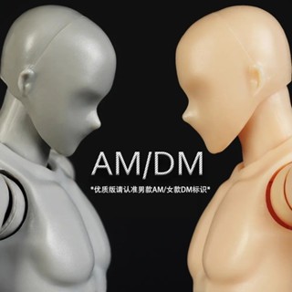 【佳佳優選模型】【店鋪熱銷】SHF男女素體繪畫素描美術漫畫女灰豪華AM/DM版 可動手辦自改模型