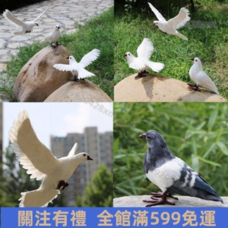 【悠米百貨行】🔥模擬鳥 🔥模擬鴿子擺件羽毛小鳥 白鴿攝影道具飛翔鴿婚慶裝飾品動物模型標本 免運