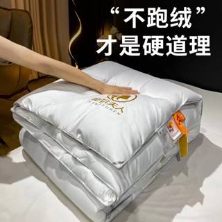💥臺灣出貨💥 新款羽絲絨冬被子春秋被五星酒店羽絨被芯 棉被被胎 羽絲絨被子 雙人被 單人被 春秋被 加厚冬被 6CHP
