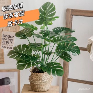 特價熱賣🔥送竹籃 北歐模擬龜背芋人造仿真植物綠色室內假植物盆栽 園藝龜背竽葉植栽 模擬假花 模擬龜背竹 北歐風 B4ZA