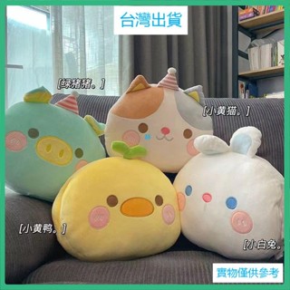 臺灣出貨卡通動物暖手捂 插手抱枕 午睡枕頭 學生午休趴睡枕 女生寶寶捂手抱枕