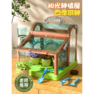 🙏🏻琪琪🙏🏻兒童陽光房種新品植花房種菜植物觀察玩具3科學小實驗套裝5小學生禮物FGHFJ