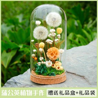 永生花束 香皂花 乾燥花 玫瑰永生花 永生花束禮盒 人造花 編製花束 索拉花束 畢業花束 聖誕節永生花蒲公英玻璃罩擺件母