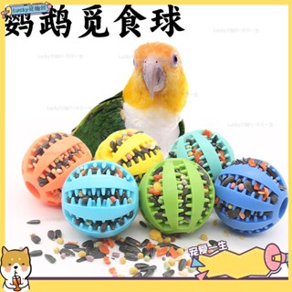 🐶寵物館🐶鸚鵡玩具 覓食球 倉鼠玩具 索拉球 啃咬磨牙 益智訓練 奬勵球 虎皮牡丹玄鳳 鳥用品 小鳥玩具qwe