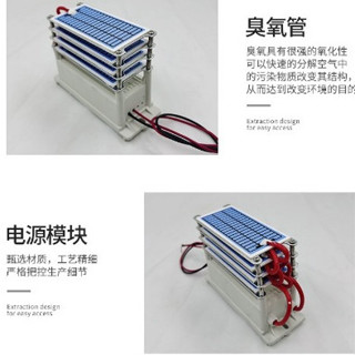 🔥臺灣出貨🔥原廠 110V 60g /臭氧生器配件去除甲醛殺菌除味臭氧消毒機一件式式臭氧生器配件 臭氧生器整合陶瓷臭氧板