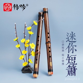 臺灣熱賣🔥初學入門紫竹短簫6孔E調蕭樂器洞簫迷你瀟學生便攜古風